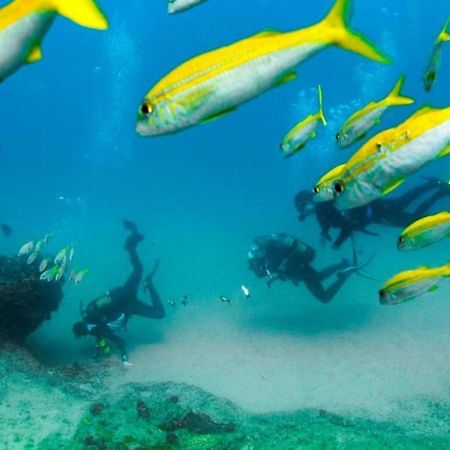 Devocean Eco Adventure Lodge Ponta do Ouro Exterior foto