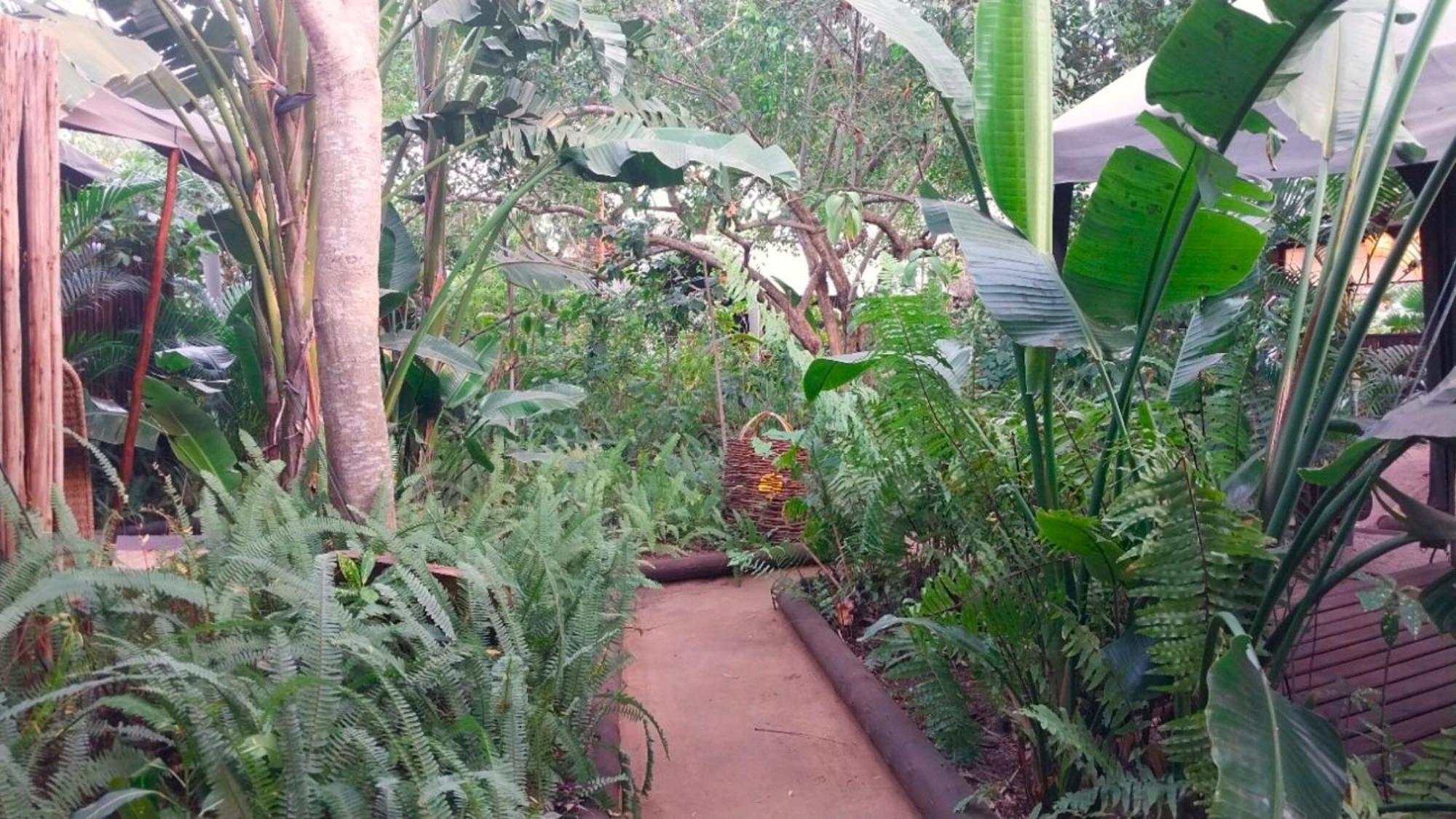 Devocean Eco Adventure Lodge Ponta do Ouro Exterior foto