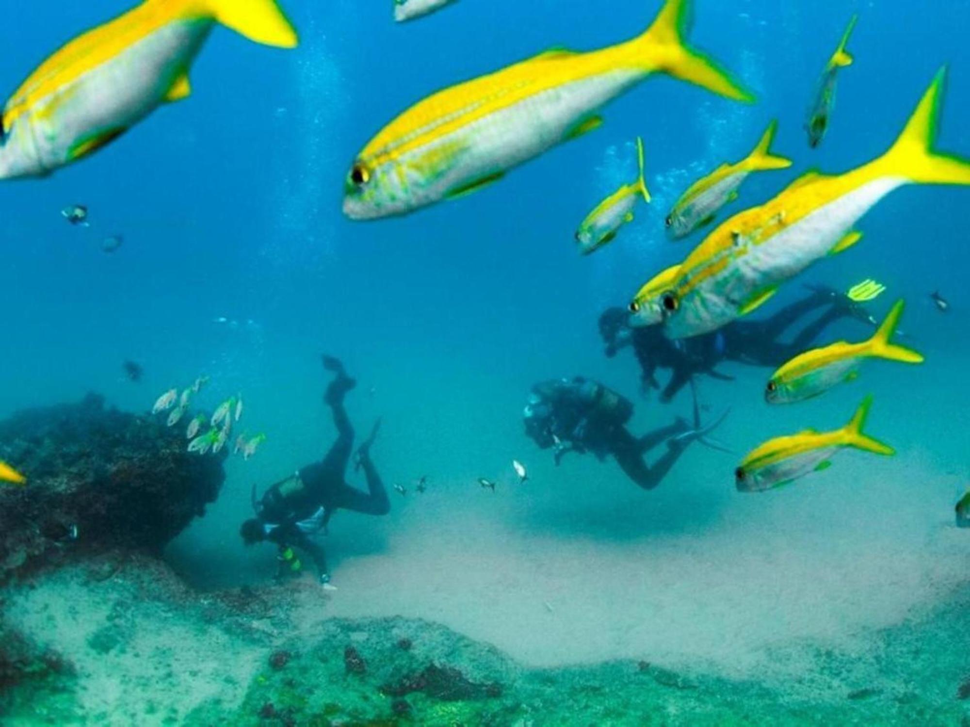 Devocean Eco Adventure Lodge Ponta do Ouro Exterior foto