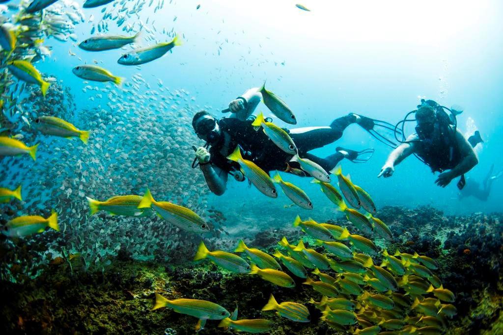 Devocean Eco Adventure Lodge Ponta do Ouro Exterior foto